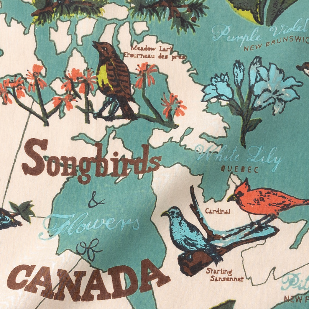 Canada Map Bandana Mint Canada Map Print Bandana / BBB1312 C2