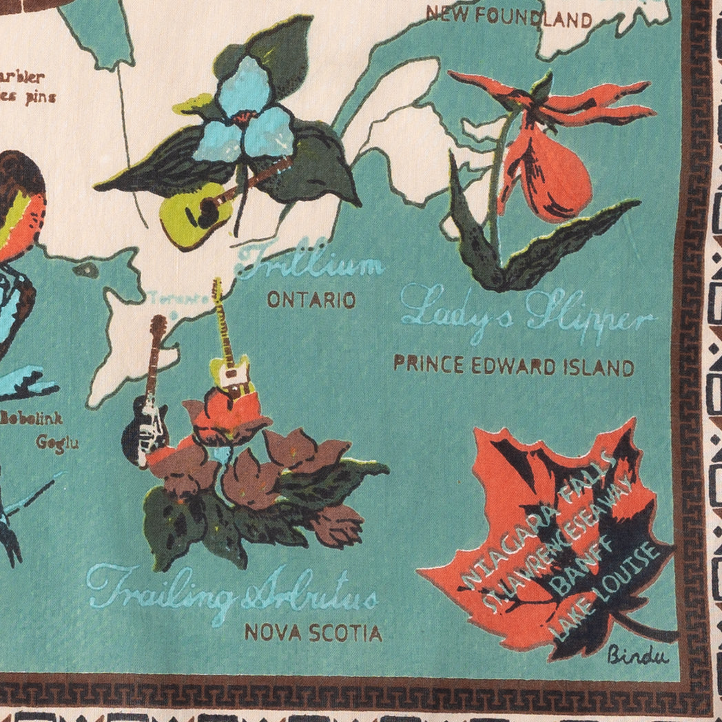 Canada Map Bandana Mint Canada Map Print Bandana / BBB1312 C2