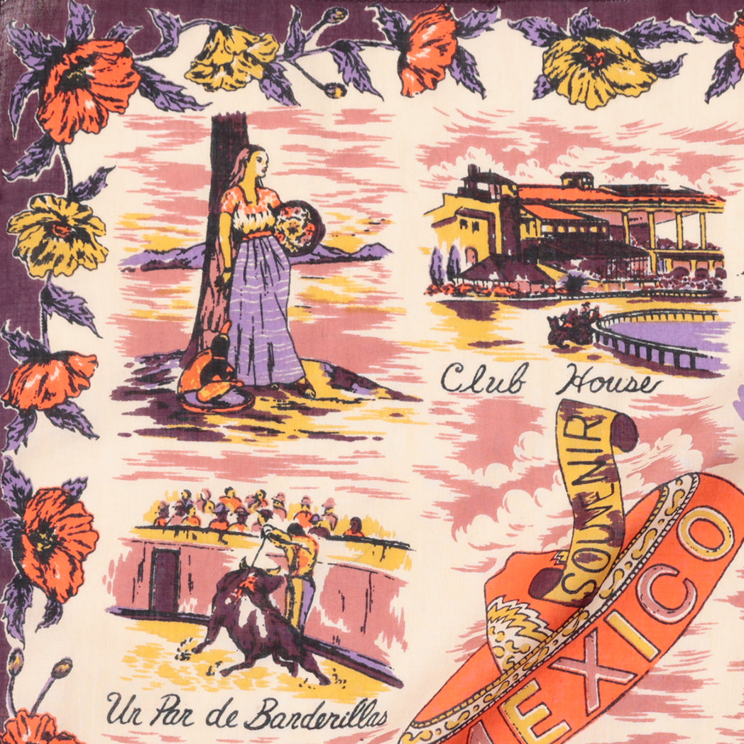 Mexico Map Print Scarf - Maroon