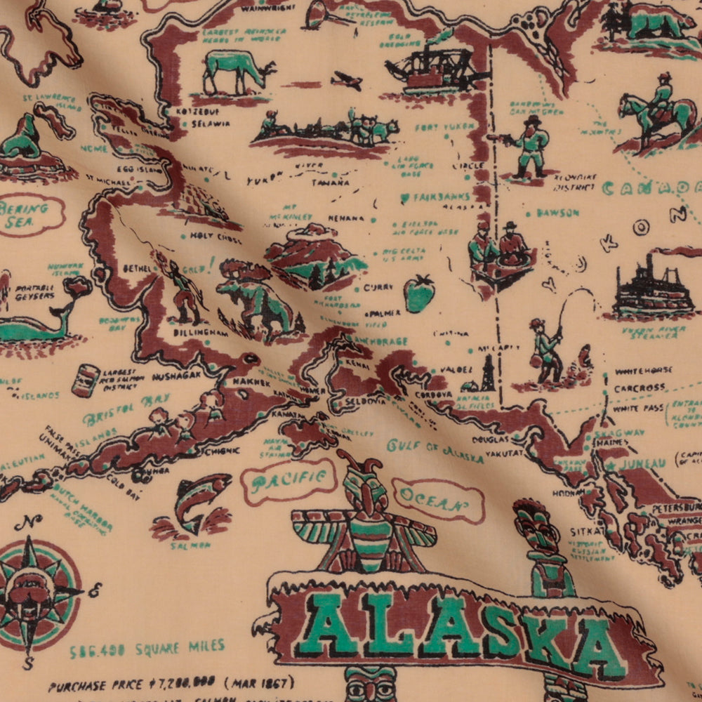 Alaska3 スモールスカーフ Brown / BBB2139-64-Alaska3-c1