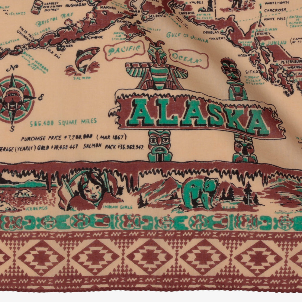 Alaska3 スモールスカーフ Brown / BBB2139-64-Alaska3-c1