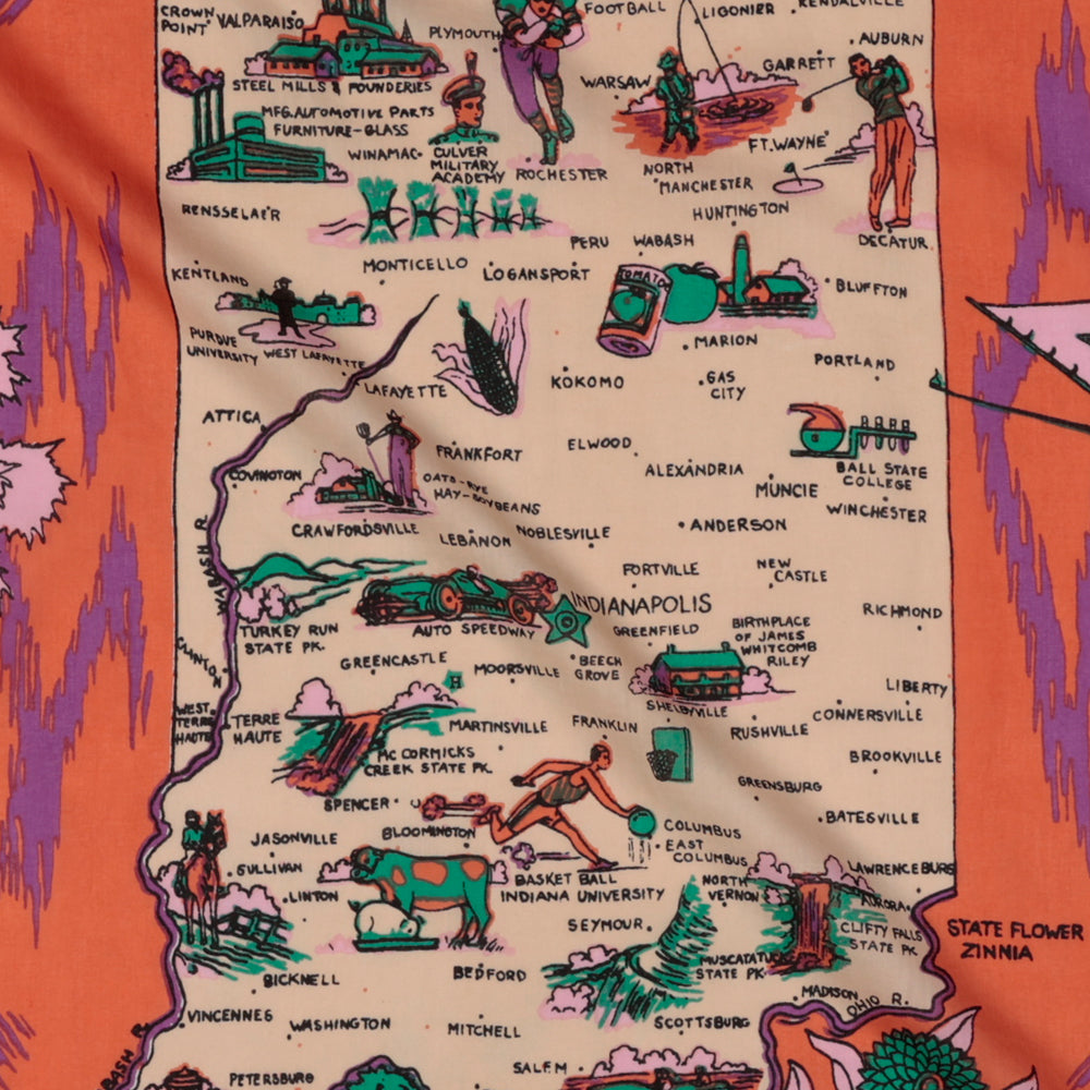 Indiana スカーフ Purple / BBB1313-Indiana-c2